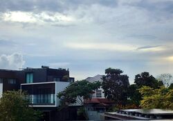 Shamrock Park (D10), Detached #473743261